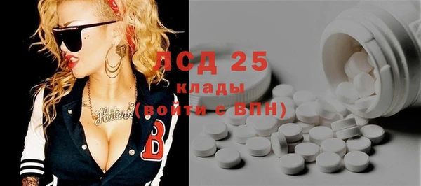 гидра Вяземский