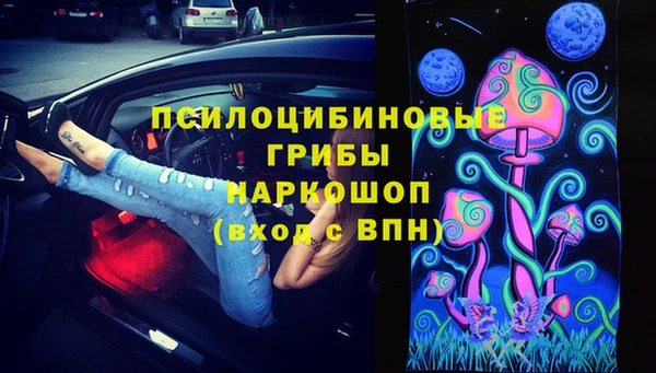 гидропоника Горняк
