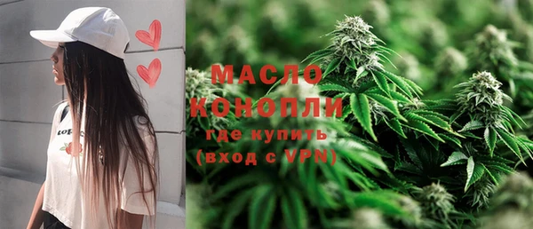 гидропоника Горняк